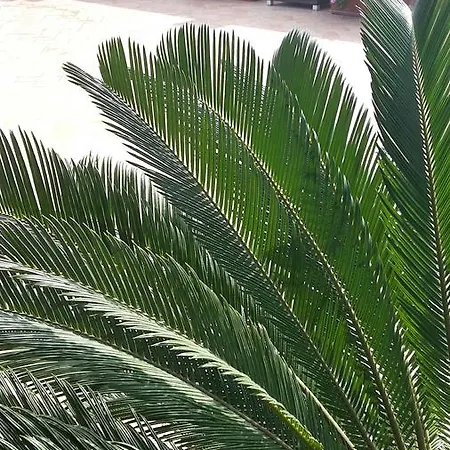 Al Porto بيت ضيافة *