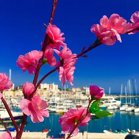 Al Porto Bisceglie