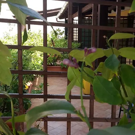 Affittacamere Al Porto Bisceglie