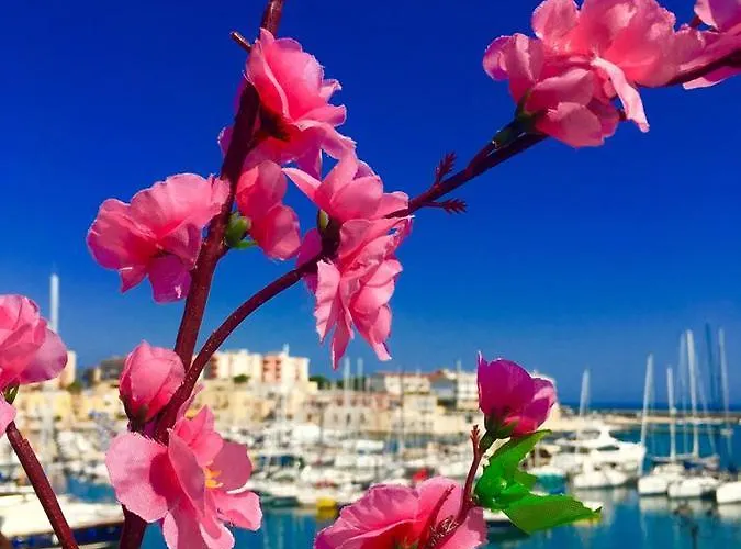 Al Porto Bisceglie