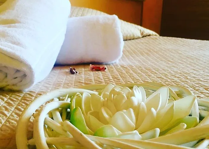 Al Porto ביצ'לייה